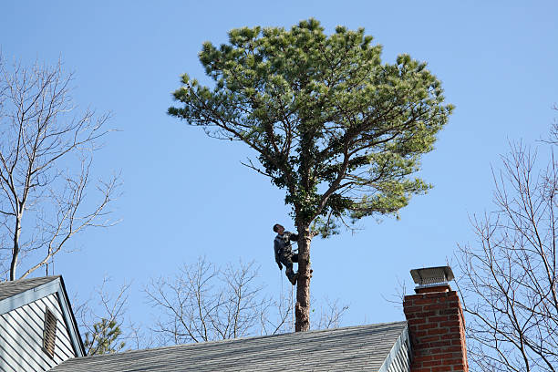 Landscape Design and Installation in Laconia, NH